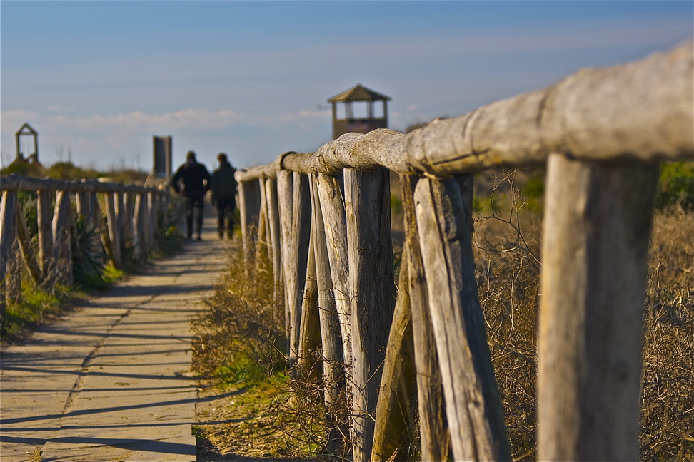 Il sentiero verso il mare.jpg